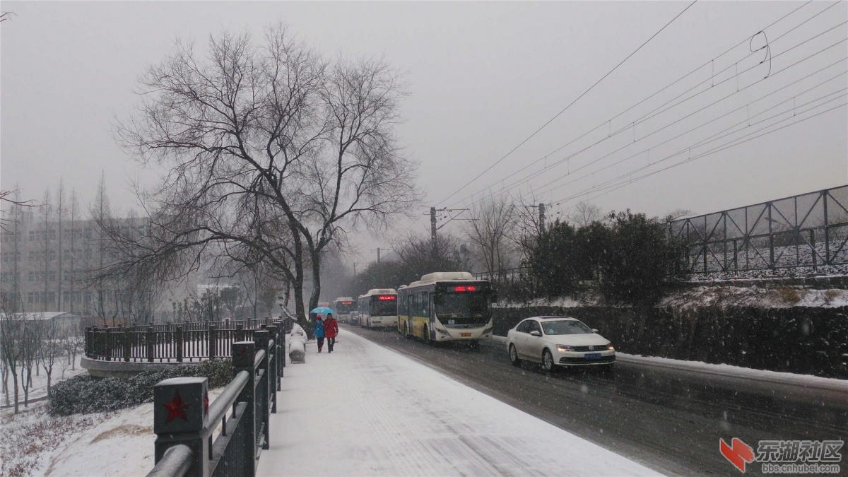 IMG_20160131_100901_副本.jpg