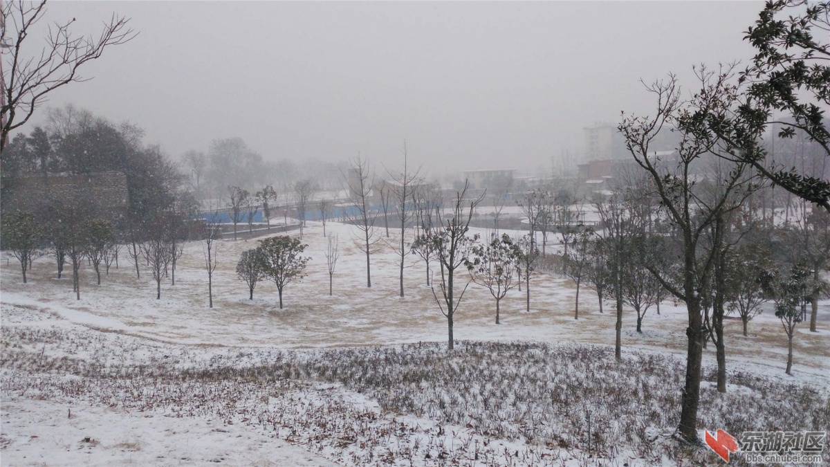 IMG_20160131_100952_副本.jpg