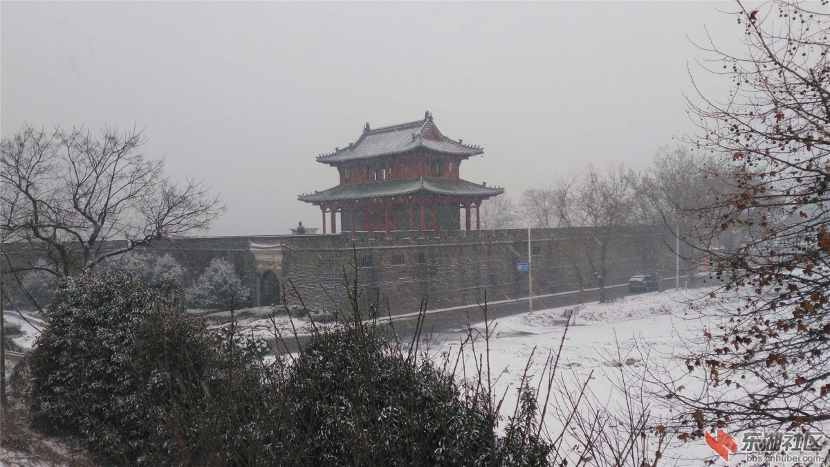 IMG_20160131_101255_副本.jpg