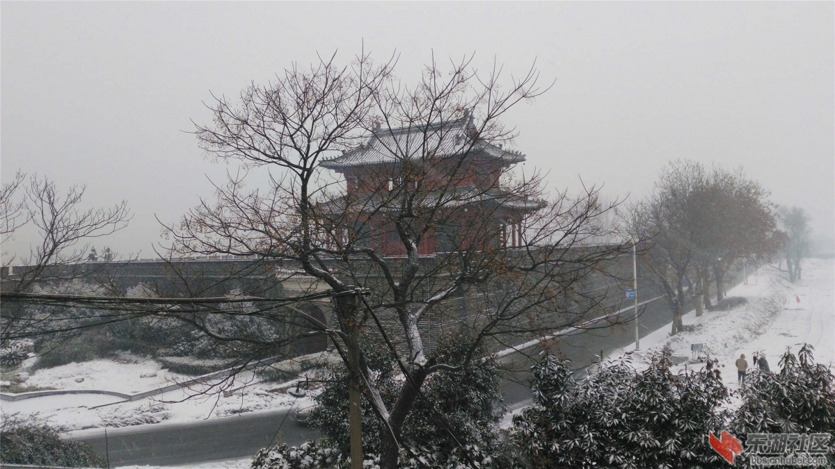 IMG_20160131_101357_副本.jpg