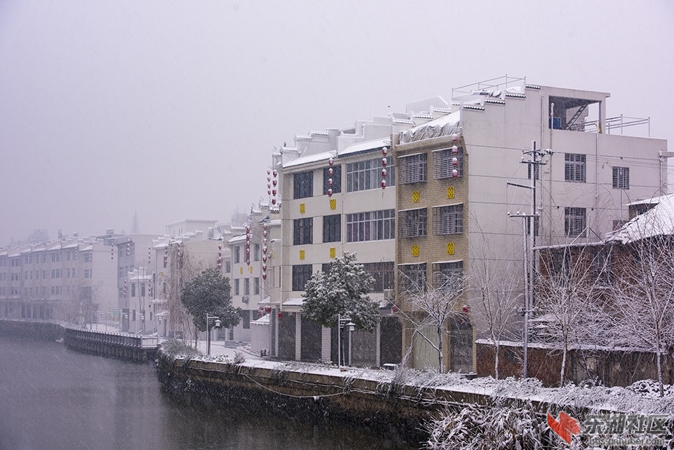 DSC_0216.jpg