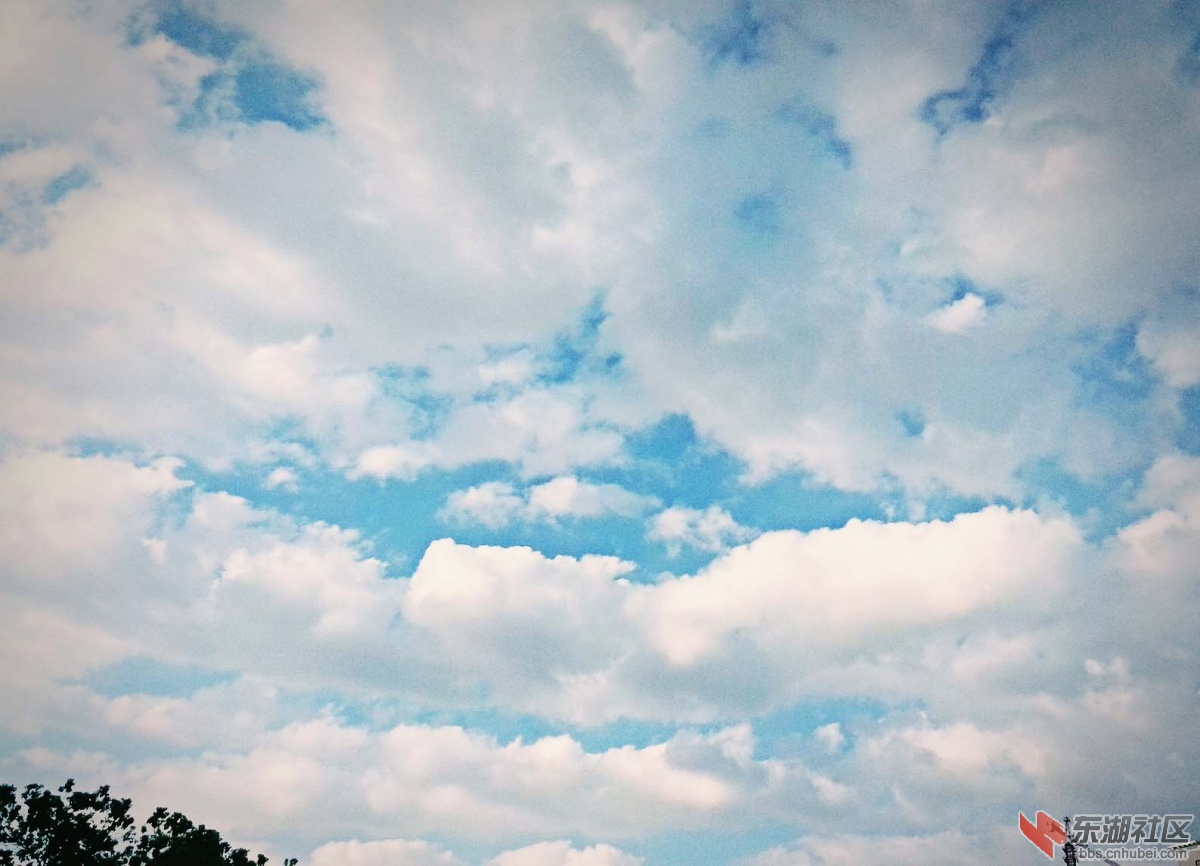 照片_20150802_180320_mh1453364262253.jpg