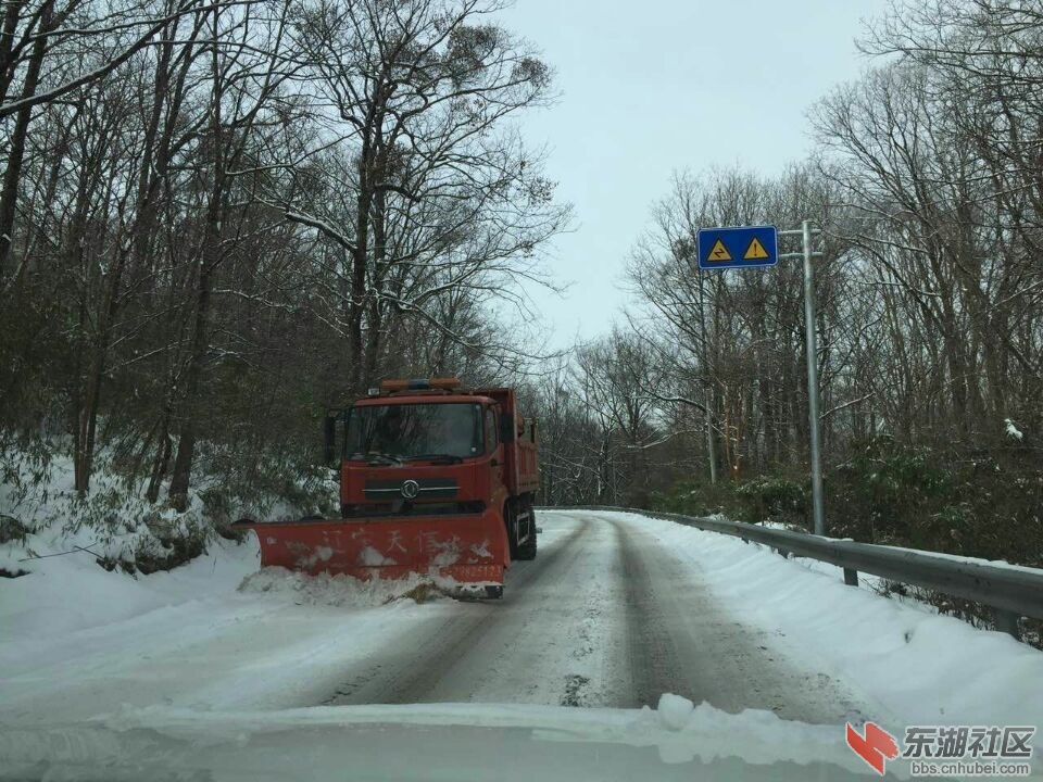QQ图片20160201215219.jpg