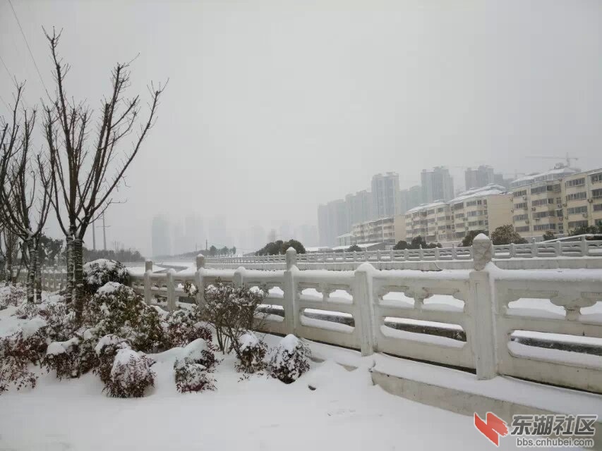 雪景9.jpg