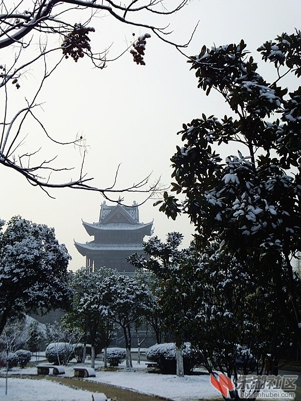雪景8.jpg