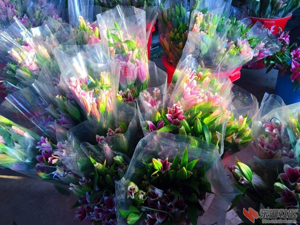 QQ图片20160204092003.jpg