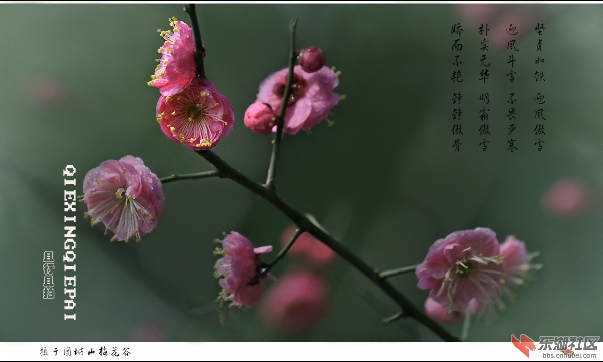 照片 006.jpg