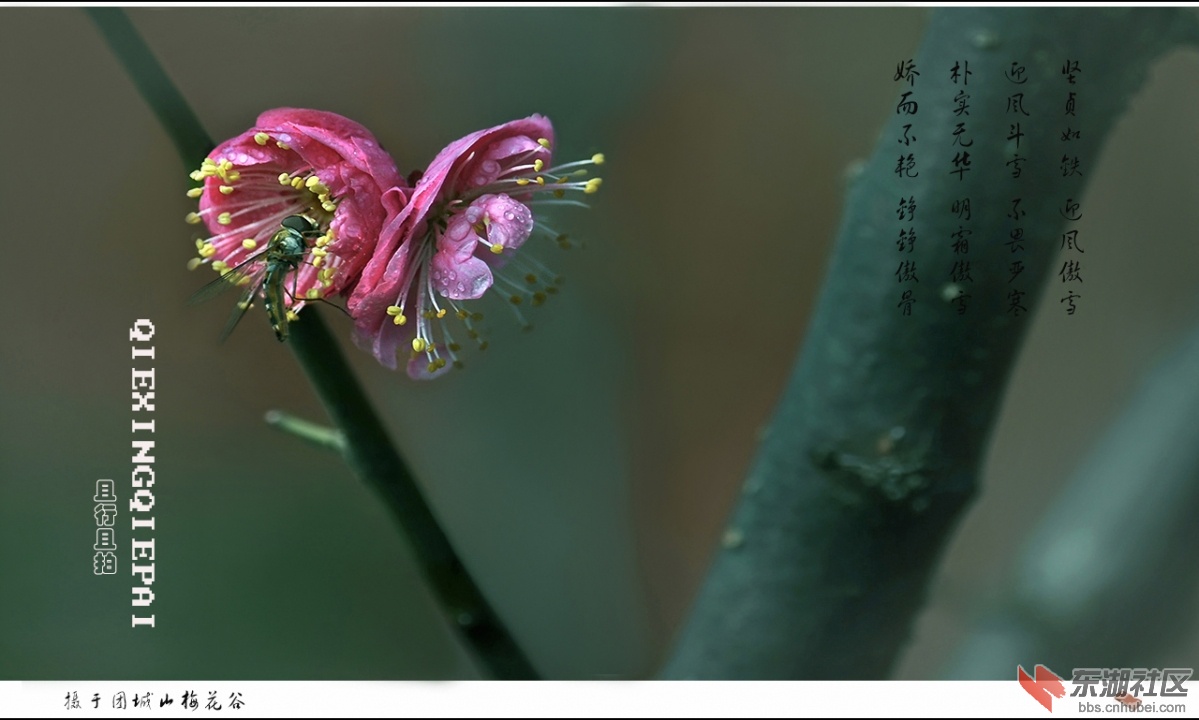照片 008.jpg