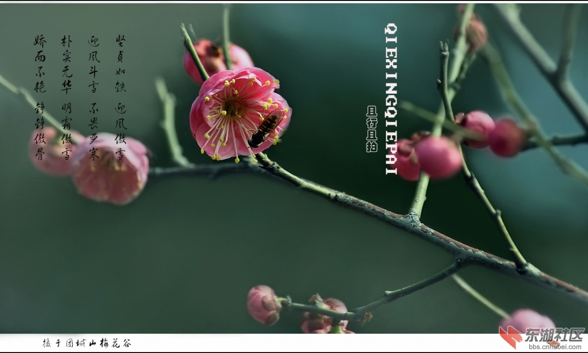 照片 031.jpg