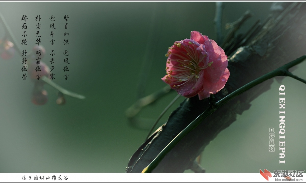 照片 142.jpg