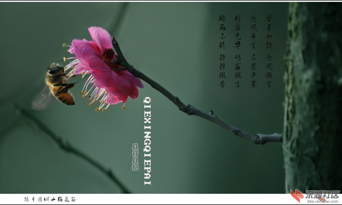 照片 152.jpg