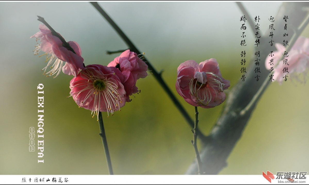 照片 226.jpg