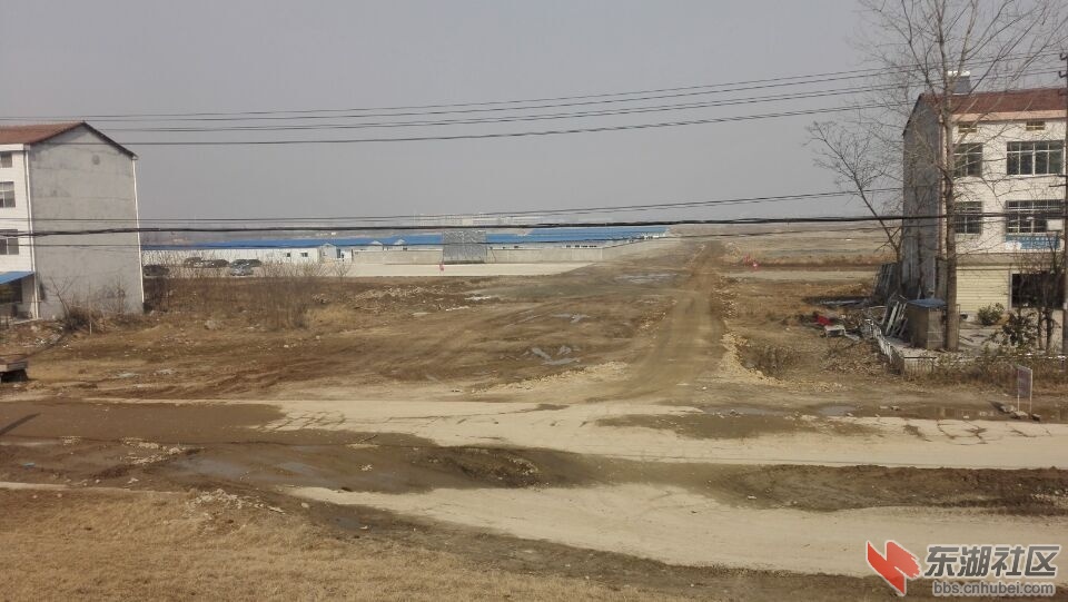 QQ图片20160205115054.jpg