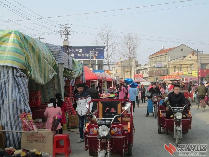 919.jpg