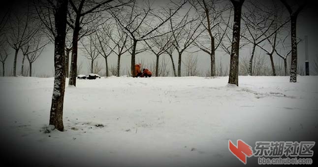 堆雪.jpg