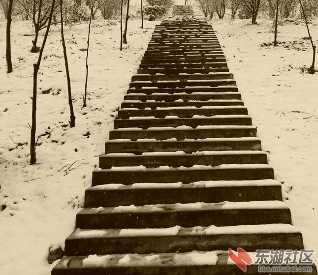 登雪.jpg