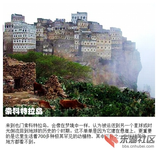 07索科特拉岛.jpg