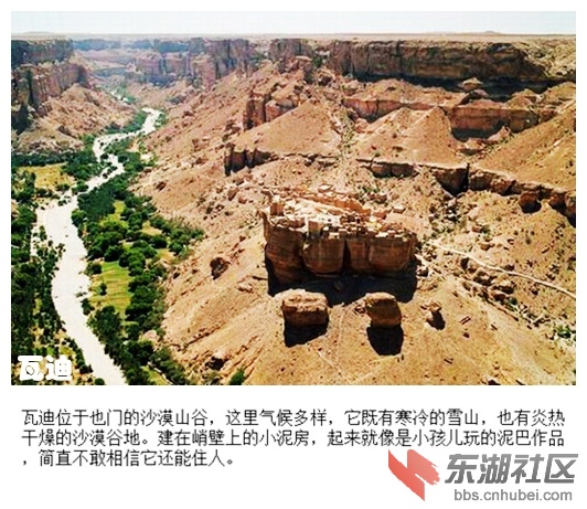 10瓦迪.jpg