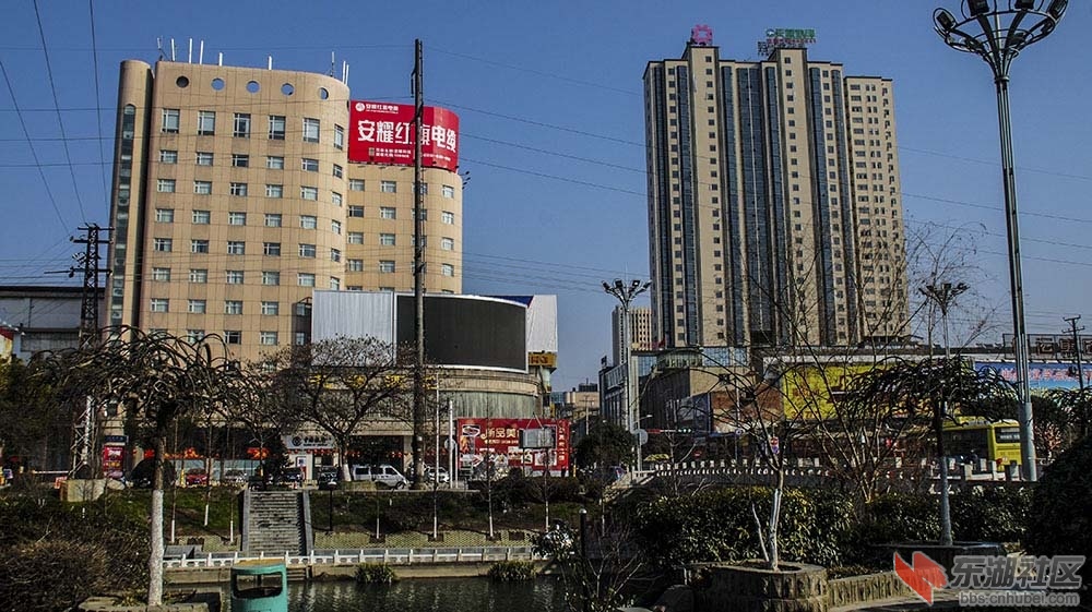 仙桃2.jpg