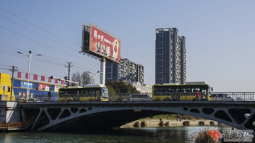 仙桃8.jpg
