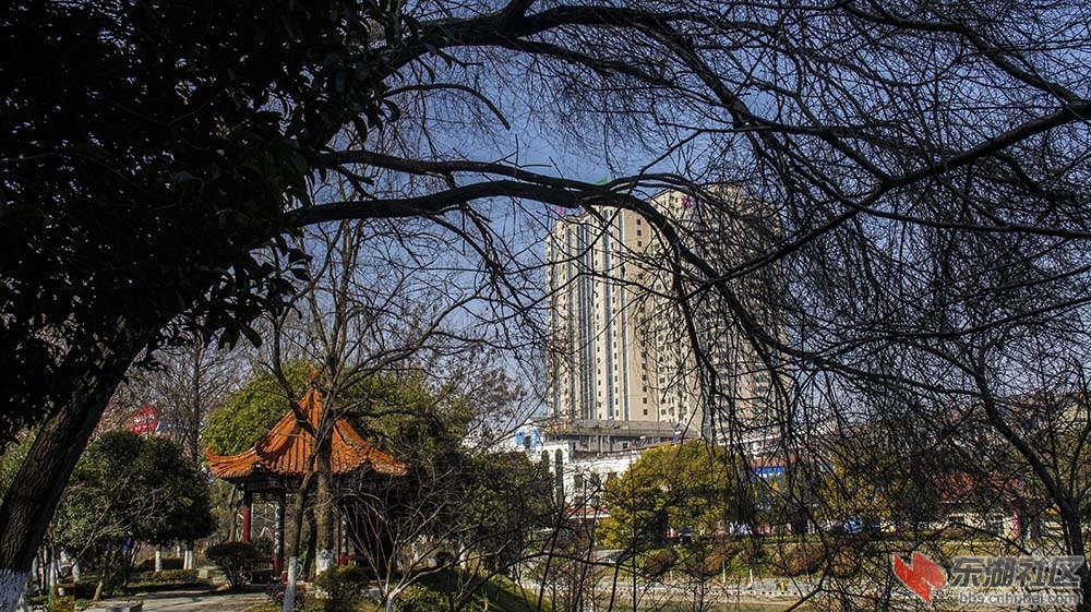 仙桃19.jpg
