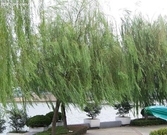 【新提醒】发表帖子 - 休闲文_20150207_13067736913297569_000.jpg