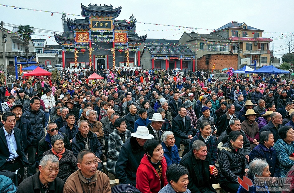 农民看大戏，庆新春