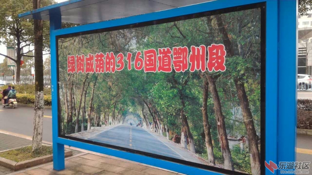 绿树成荫.jpg