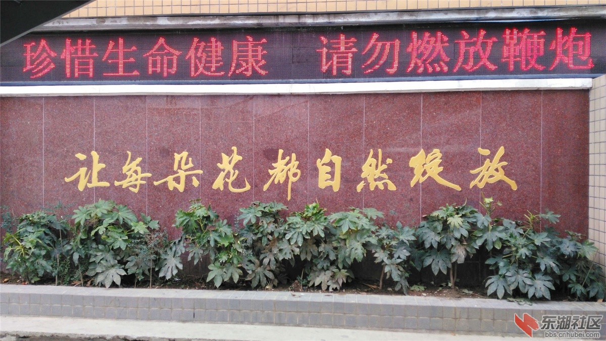 IMG_20160213_100351_副本.jpg