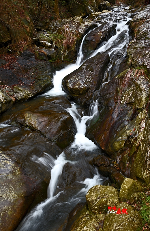 a001.jpg