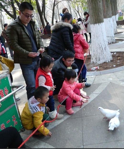 QQ图片20160209194544.jpg