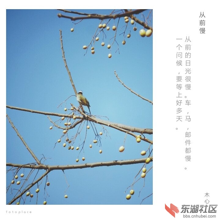 IMG1453865717004.jpg
