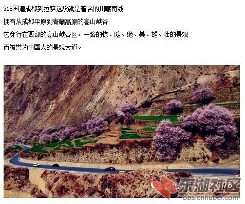全年召集图片1.jpg