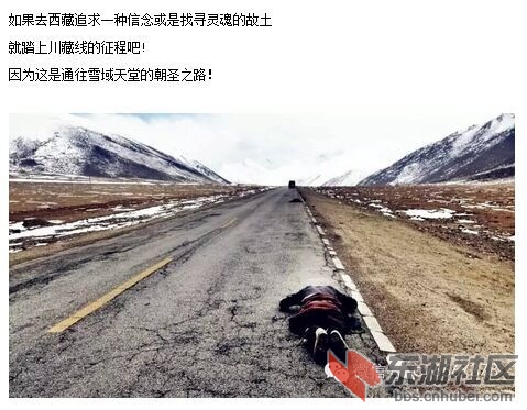 全年召集图片3.jpg