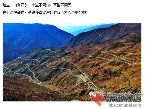 全年召集图片2.jpg