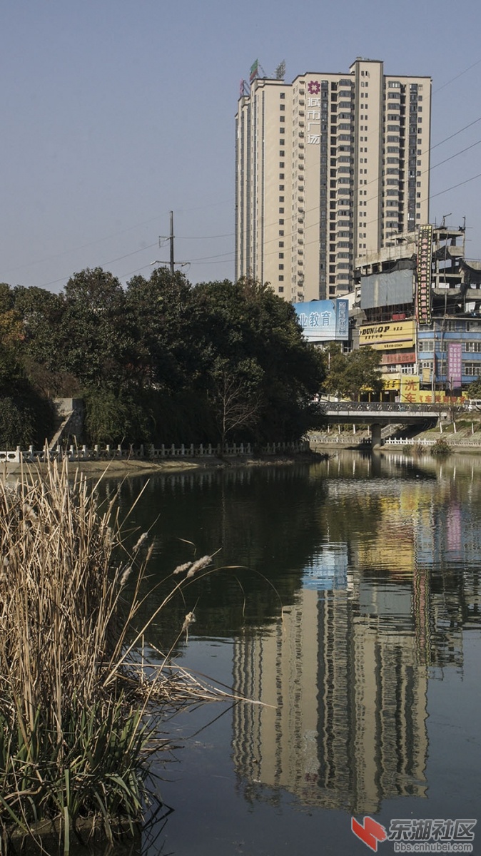 仙下河4.jpg