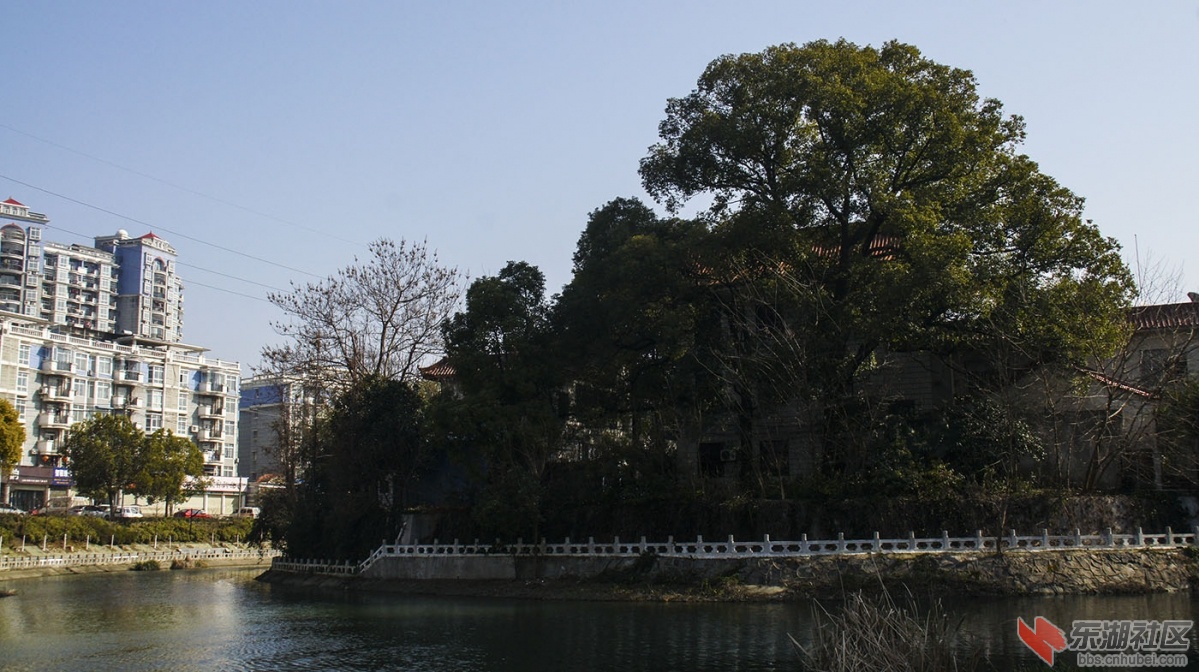 仙下河7.jpg