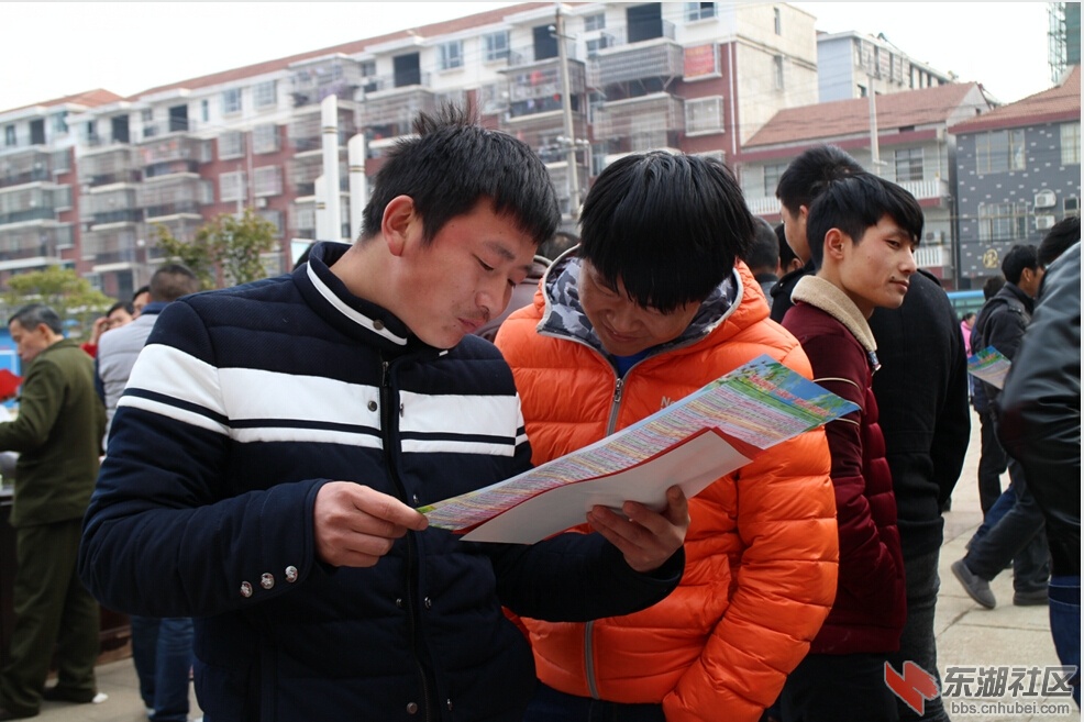 QQ截图20160217173326.jpg