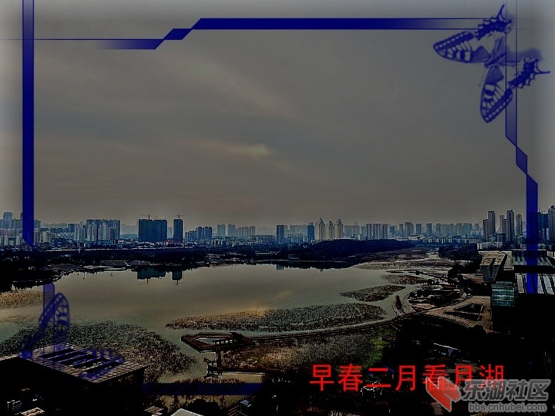 P2172354_conew1.JPG