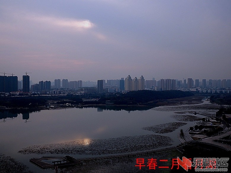P2172355_conew1.JPG