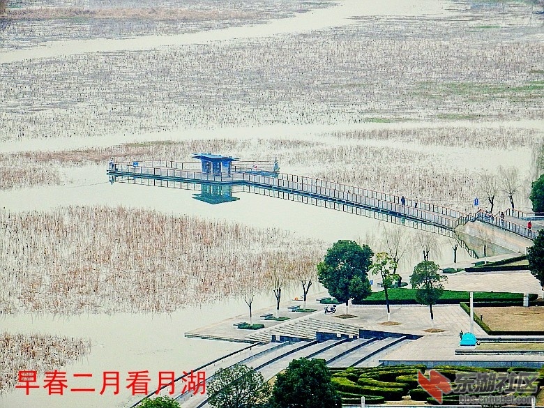 P2172335_conew1.JPG