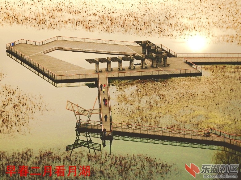 P2172337_conew1.JPG