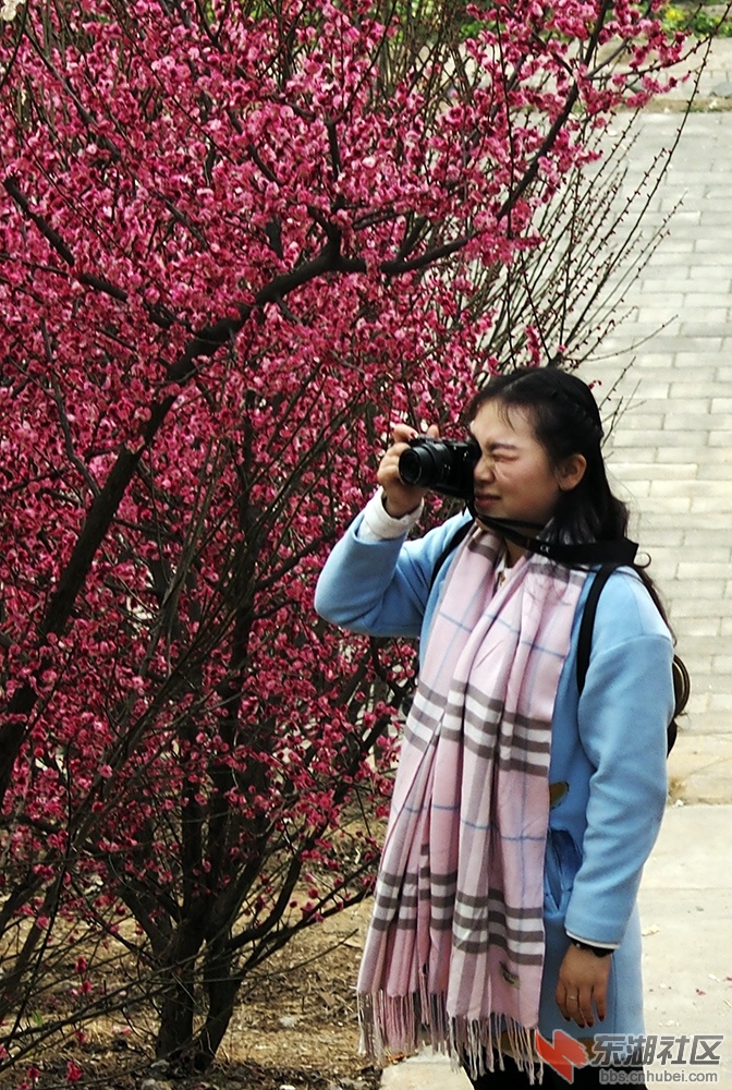 P21801300.jpg