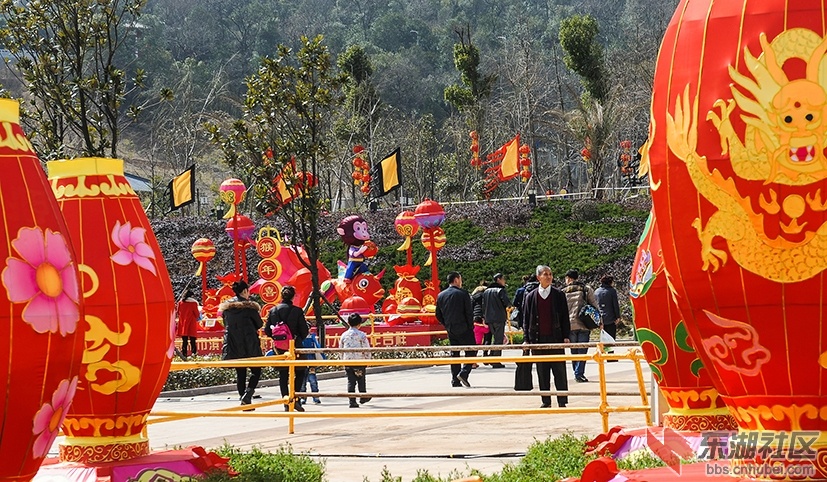 游人赏花灯。