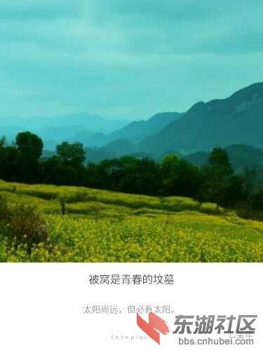 IMG1456122834418.jpg
