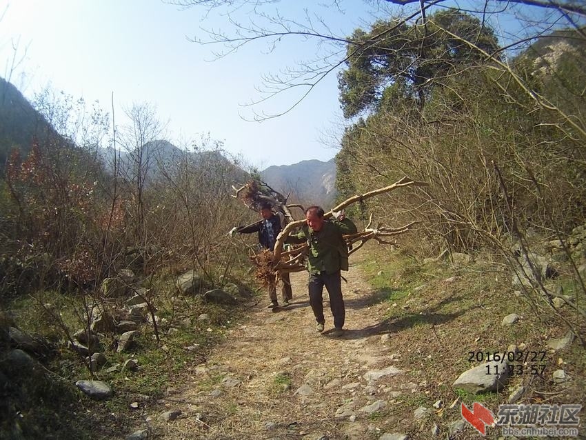 04.JPG