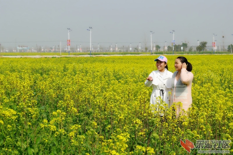 P1980615_副本.jpg