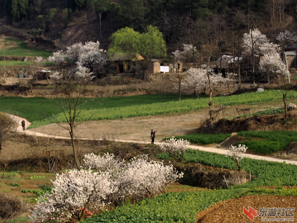 P22901120..jpg