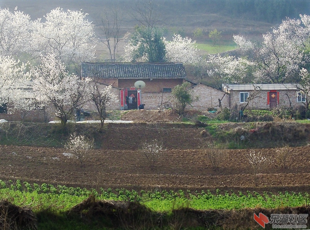 P22900370..jpg