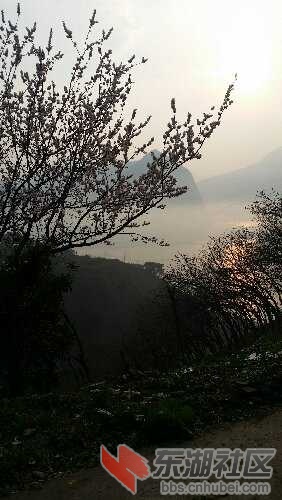 20160303_082326.jpg